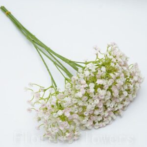 Gypsophila 45cm