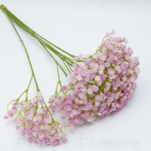 Gypsophila 45cm