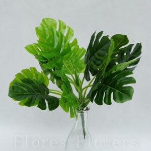 Trs monstera 30 cm