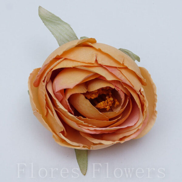 Ranunculus 6 cm