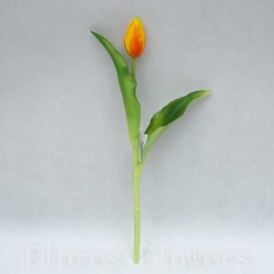 Tulipán stopkový 33cm