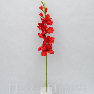 Gladiol 76 cm