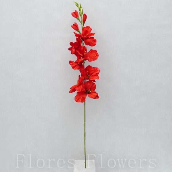 Gladiol 76 cm