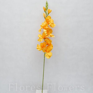 Gladiol 76 cm