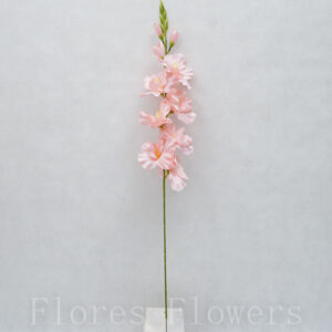 Gladiol 76 cm