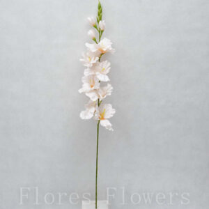 Gladiol 76 cm